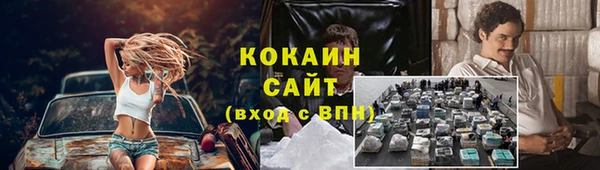 прущие грибы Няндома