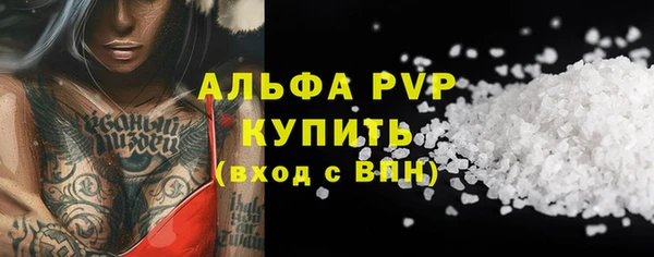 прущие грибы Няндома