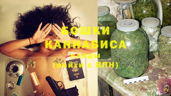прущие грибы Няндома