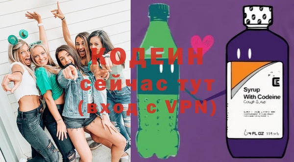 прущие грибы Няндома