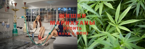 прущие грибы Няндома