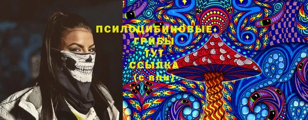 спайс Нягань
