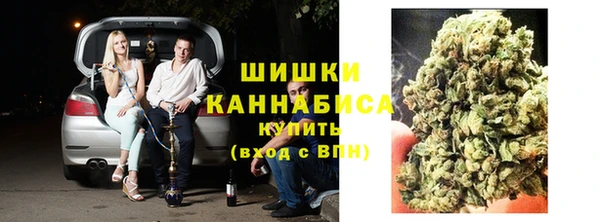 прущие грибы Няндома